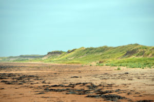 Green grass on the red sand dunes. Gives a feeling of the wind swept nature of the place.