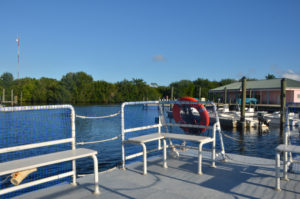 Leaving the dock on our pontoon boat