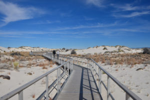 "Interdune Boardwalk" - Walkway out over the dunes. All parts of this walkway are connected together by large gauge wire, and then grounded to the sand as well. Even so you build up a pretty good charge walking a hundred feet. You'll get used to the light shocks as you touch the rail.